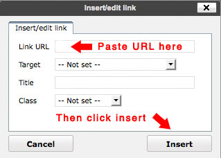 How to insert a link in your page or blog post