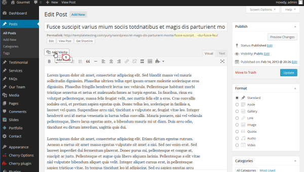 Web Design For Accommodation 2WordPress How to wrap text around the image 2