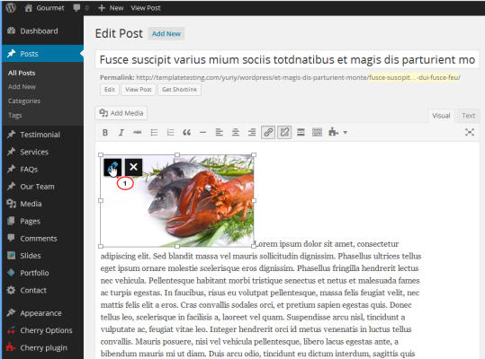 Web Design For Accommodation 3WordPress How to wrap text around the image 3