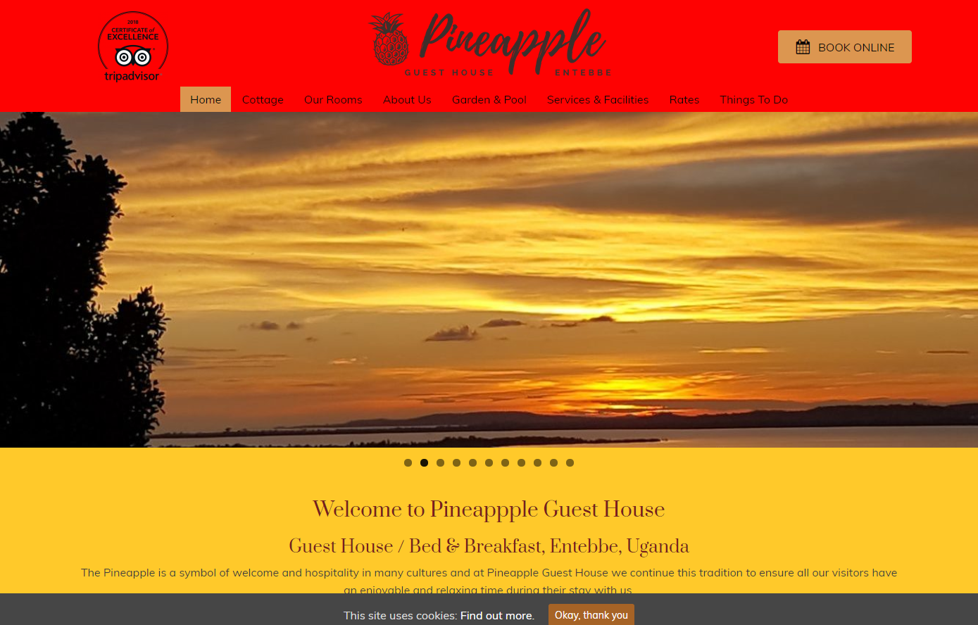 Pineapple Guesthouse - Uganda