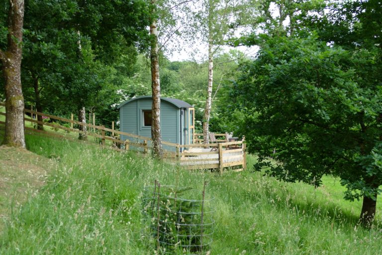 Meadowland Farm B&B and Shepherd Hut